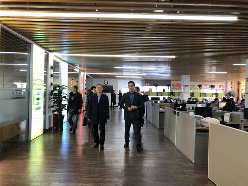 殷志军副市长调研绿森商城发展情况