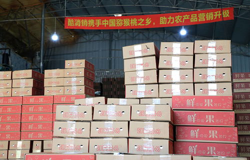 帮农助农酷消销赋能,周至猕猴桃销售产业走上快车道
