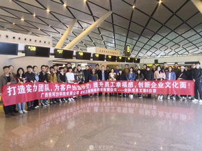 专业技术团队,本地化服务网络工作,主营软件研发,网站建设微信开发