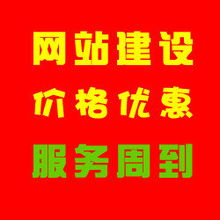 网站建设与定制开发全攻略 从设计到电商系统